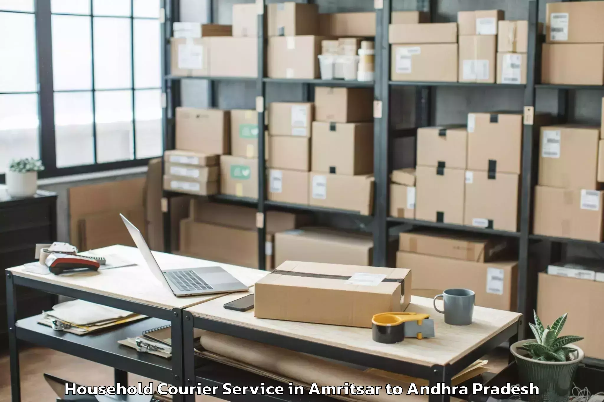 Quality Amritsar to Mamidikududru Household Courier